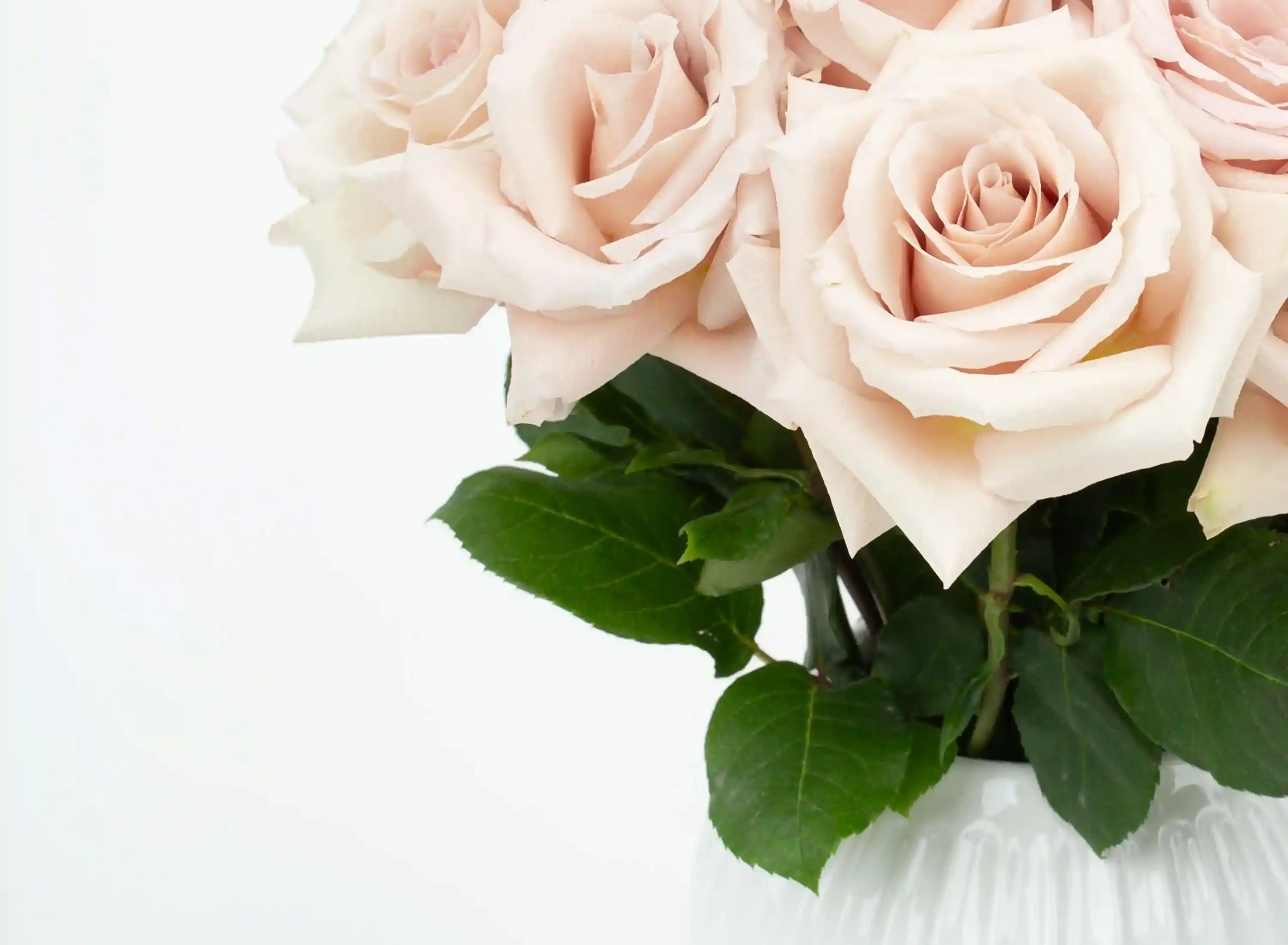 Ponadczasowo Eleganckie Bukiety