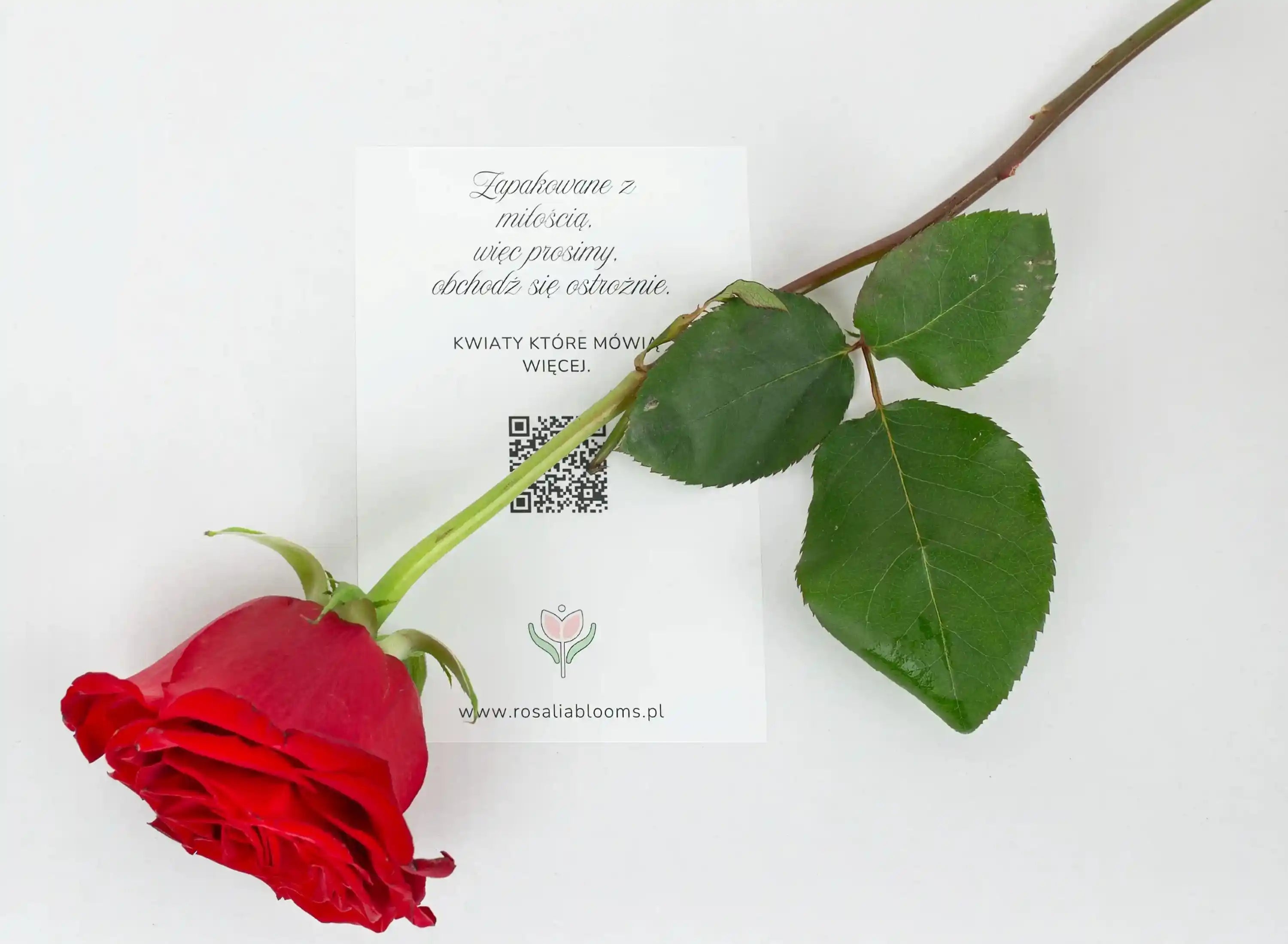 Kwiaty z Dostawą do Domu w Tychach – Odkryj Korzyści z Rosalia Blooms